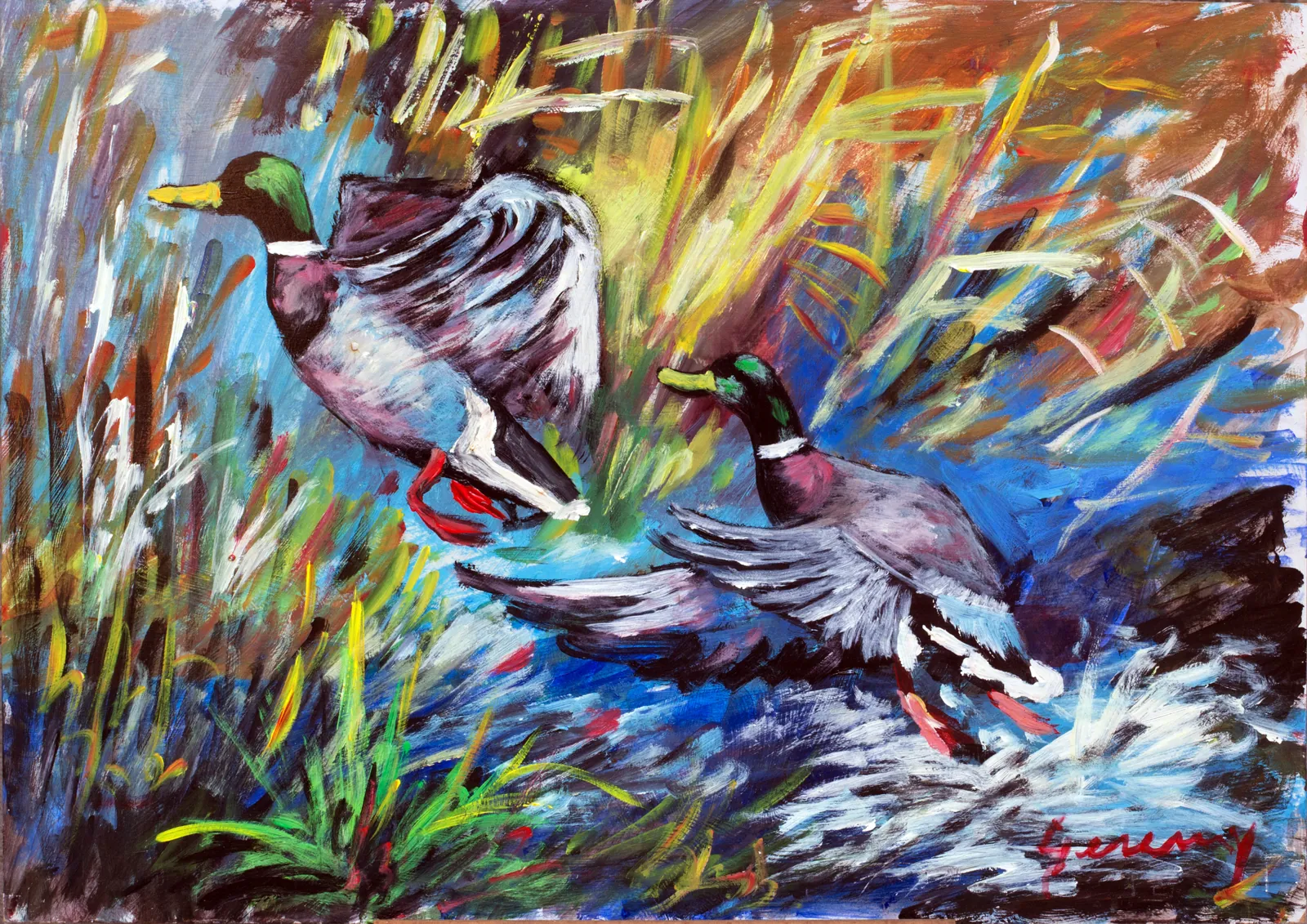 Aldo Geremicca, Germani nell'acqua