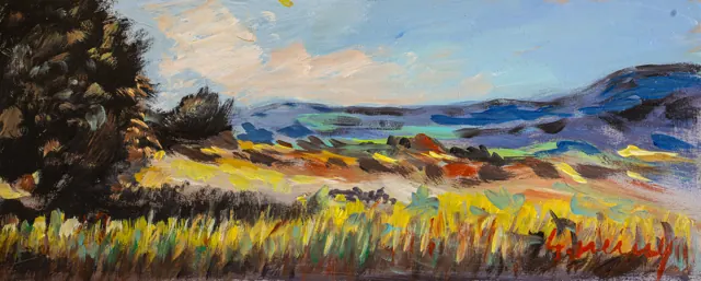 Aldo Geremicca, Campi e colline